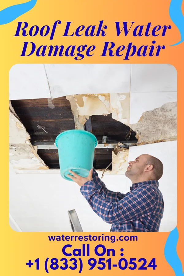 Roof Leak Water Damage Repair in Lexington, WA